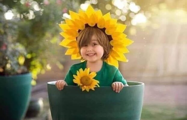 معارف السعادة